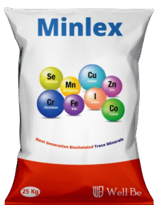Minlex